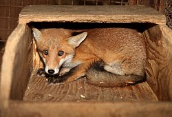 img_8968 - vera gerstendorf-welle