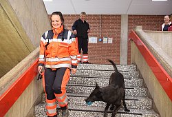 kap-oh-rettungshundestaffel-teutoburger-wald-uebung-17 - Karin Prignitz
