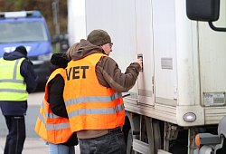 img_8194 - Alex Lehn