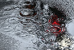Regenwetter in D&uuml;sseldorf - Federico Gambarini/dpa