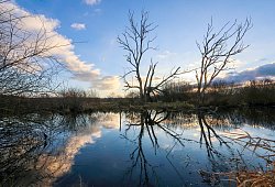 Wetter in Baden-W&uuml;rttemberg - Thomas Warnack/dpa