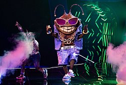 „The Masked Singer“ - Rolf Vennenbernd/dpa