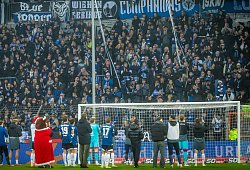 fans - 1 - Sarah Jonek