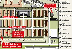 Auschwitz - Wikipedia