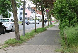 Gröchteweg - Alexandra Schaller
