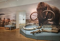 spannende-reise-durch-jahrtausende - Lippisches Landesmuseum