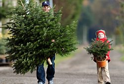 file7thwfkih0851923g4ge - dpa