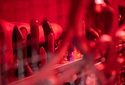 Sexspielzeug steht in einem Schrank - Sebastian Gollnow/dpa/dpa-tmn