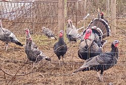 20251130_132214 - Marianne Schwarzer