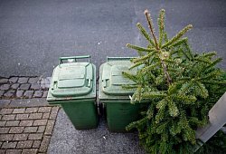 Ein Weihnachtsbaum liegt an der Stra&szlig;e neben M&uuml;lltonnen - Fabian Strauch/dpa/dpa-tmn