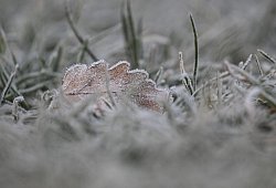 Morgenfrost in Baden-W&uuml;rttemberg - Marijan Murat/dpa
