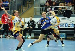 hsg-bensheim - Paul Cohen