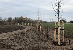 Kreisel Ostwestfalenstraße - Thomas Reineke