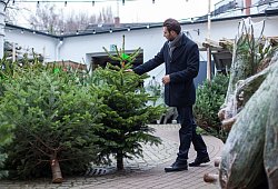 Weihnachtsbaum kaufen - Christin Klose/dpa-tmn