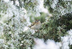 Wetter - Silas Stein/dpa