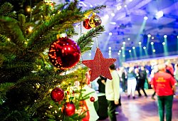 Weihnachtsschmuck hängt bei einer Weihnachtsfeier am Baum - Christoph Soeder/dpa/dpa-tmn