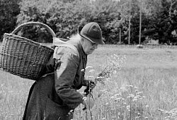 Foto-Ausstellung "Die Blumenfrauen vom Viktualienmarkt" - LWL-Freilichtmuseum Detmold
