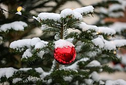 Wie stehen die Chancen f&uuml;r wei&szlig;e Weihnachten? - Jan Woitas/dpa