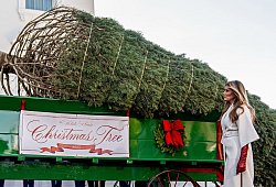 Ankunft des Weihnachtsbaums im Weißen Haus - Julia Demaree Nikhinson/AP/dpa