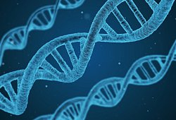 DNA - Pixabay
