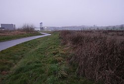 P1310678 - Jost Wolf