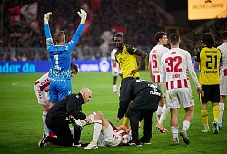 Borussia Dortmund - 1. FC Köln - Bernd Thissen/dpa