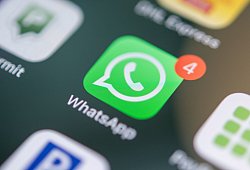 Das WhatsApp-Logo auf einem Smartphone - Nico Tapia/dpa-tmn