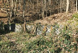 image - Sylvia Frevert