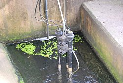 dsc_7884 - Sigurd Gringel