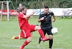 bild1 - paul cohen