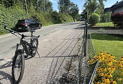 Baum fällt auf Zaun - Silke Buhrmester