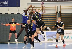 hsg-oldengurg - Paul Cohen