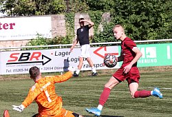bild-3 - paul cohen