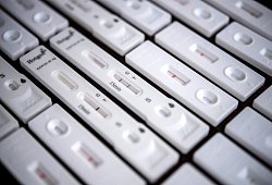 Tests - picture alliance/dpa | Sina Schuldt