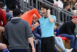 Schiedsrichter, LZ-Cup - Paul Cohen