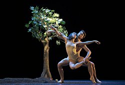 We will dance - Landestheater Detmold/Bettina Stöß