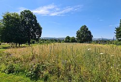 Staff-Park - Nadine Uphoff