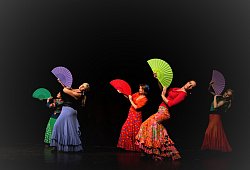 flamencotanzbogen - Tanzbogen