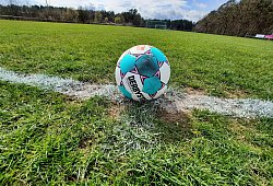Fußball - Oliver König