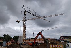 img_20230524_103443595 - Franka Ronkartz
