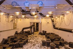 Indoor-Plantage in Leopoldshöhe - Kreispolizeibehörde Lippe
