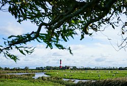 Pellworm - Kur- und Tourismusservice Pellworm