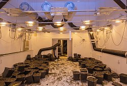 Indoor-Plantage in Leopoldshöhe - Kreispolizeibehörde Lippe