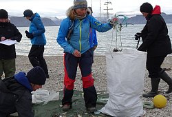 eisbar-im-fischernetz-ii_birgit-lutz-mitte-c-birgit-lutz - Bildrechte: Birgit Lutz
