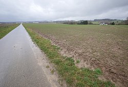 Hochwasser - Jost Wolf