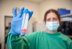 Labor Krone - Labor Krone