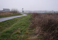 SL HBM Stand Amazon - Archivfoto: Jost Wolf