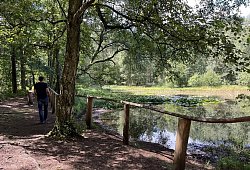 img_2120 - Jana Beckmann