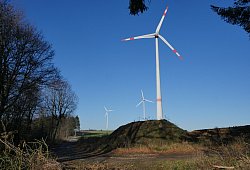 P1290151 - Jost Wolf
