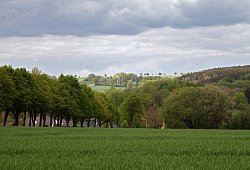 Blick von Barntrup Richtung Norden. - Bernhard Preuss